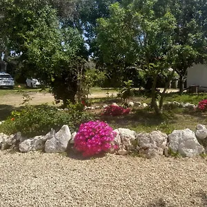 https://nature-houses.hotelaalgarve.com